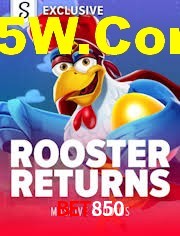 Football Betting Bet850